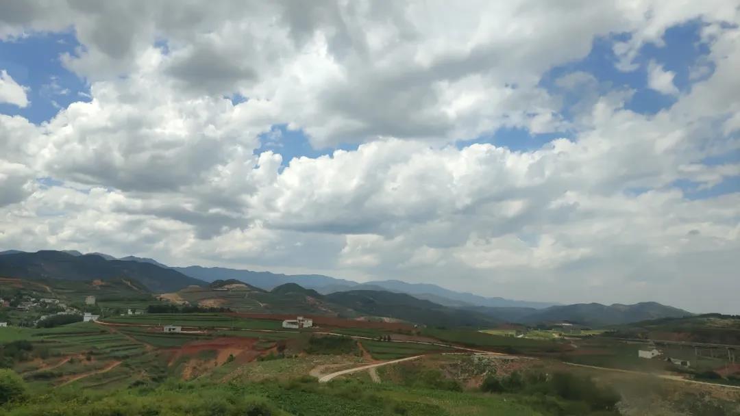 路上風景2.jpg