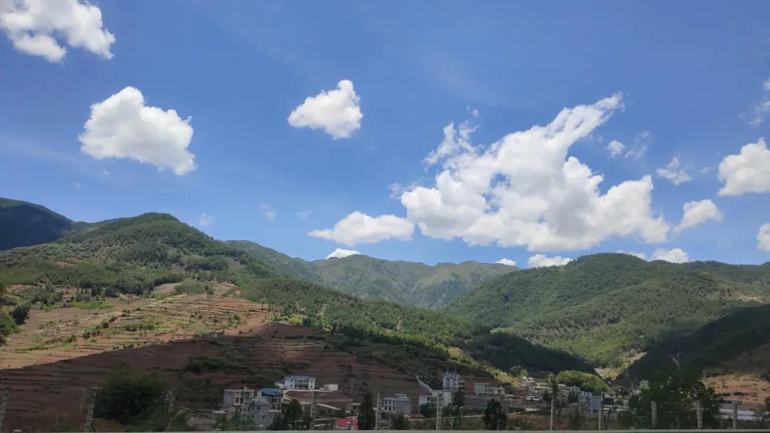 路上風景3.jpg