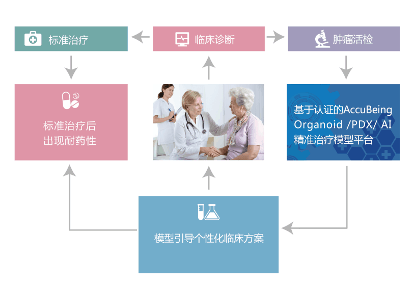 個(gè)性化醫(yī)療流程.png